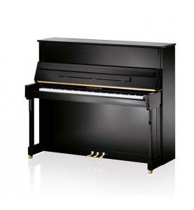 Photo C. Bechstein  Academy A-124 Imposant