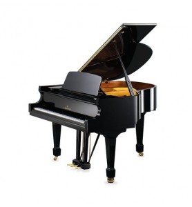 Photo C. Bechstein  Academy A-160