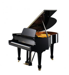 Photo C. Bechstein  Academy A-175