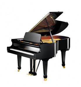 Photo C. Bechstein  Academy A-190