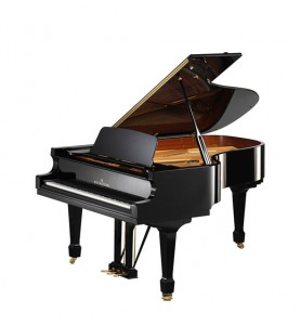 Photo C. Bechstein  Academy A-208