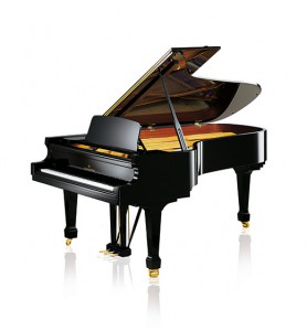 Photo C. Bechstein  Academy A-228
