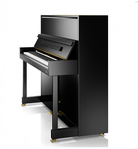 C. Bechstein  Academy A6