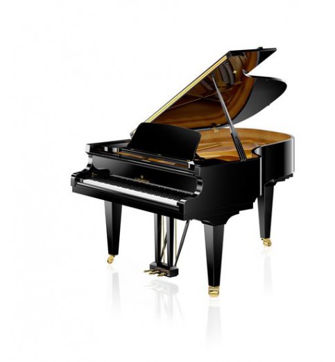 C. Bechstein  Academy A-190