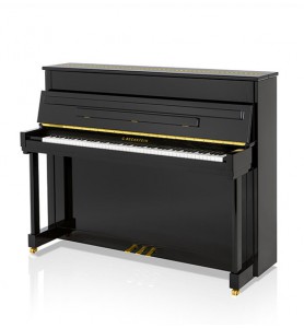 Photo C. Bechstein  Residence Classic 118