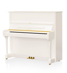 Photo C. Bechstein  Concert 8