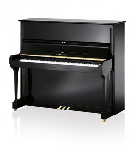 Photo C. Bechstein  Concert 8