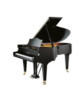Photo C. Bechstein  Concert A-192