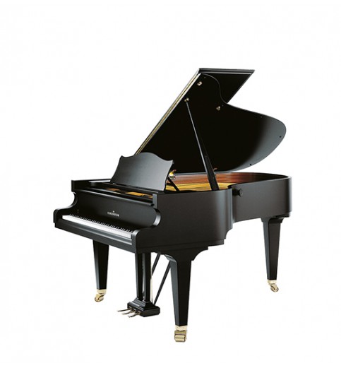 C. Bechstein  Concert A-192