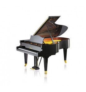 Concert B-212