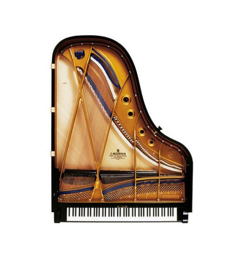 C. Bechstein  Concert B-212