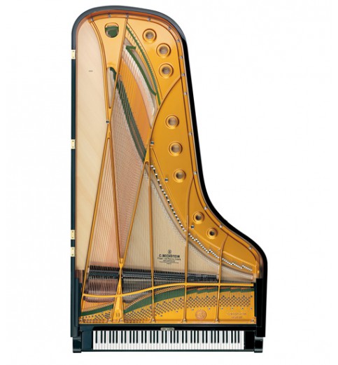 C. Bechstein  Concert D-282