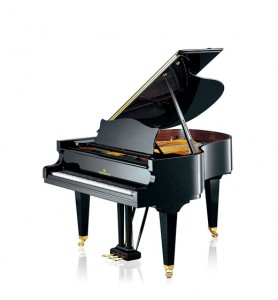 Photo C. Bechstein  Concert L-167