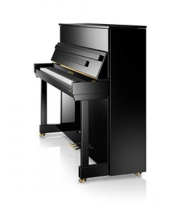 Photo C. Bechstein  Residence R4 Classic