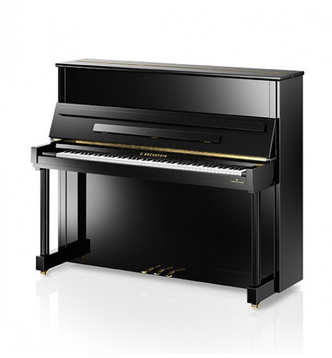 C. Bechstein  Residence R6 Classic