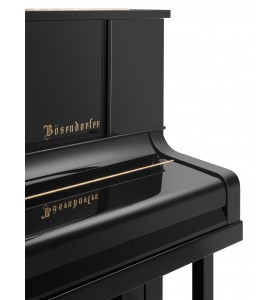 Photo Bösendorfer 120