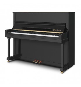 Photo Bösendorfer 120