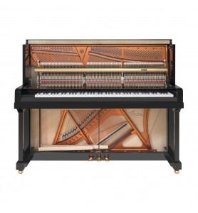 Photo Bösendorfer 120 Silent