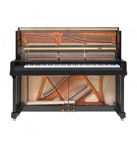 Bösendorfer 120