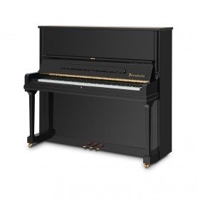 Photo Bösendorfer 130