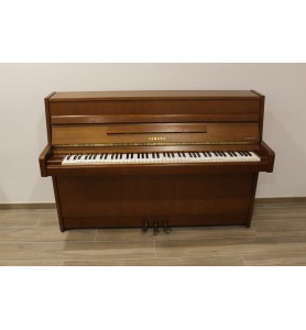 Photo Yamaha 101