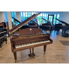 L-167 (1976) de la marque C. Bechstein 