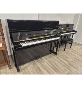 Photo Grotrian - Steinweg GM22 Mira Silencieux (2022)