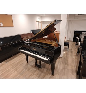 Photo Pleyel (by Schimmel) 174 (1975)