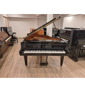 Photo Pleyel (by Schimmel) 174 (1975)