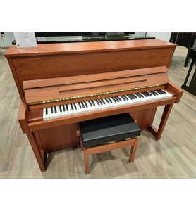 Photo Schimmel Wilhelm W114T (2020)