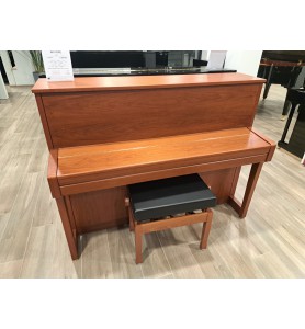 Photo Schimmel Wilhelm W114T (2020)