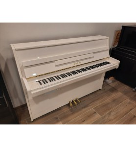 Photo Yamaha B1 Silent (2021)