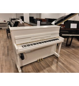Photo Yamaha B2 Silent (2021)