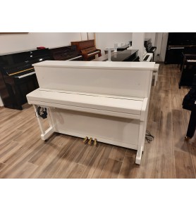 Photo Yamaha B2 Silent (2021)