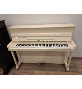 Photo Yamaha P114 (2009)