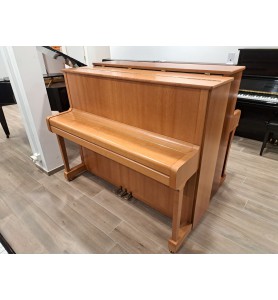Photo Yamaha P121 (2007)