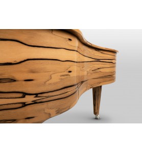 Schimmel Classic C169T Ebène Blanc