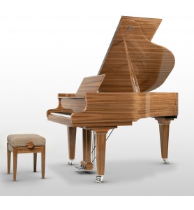 Schimmel Classic C169T Paldao