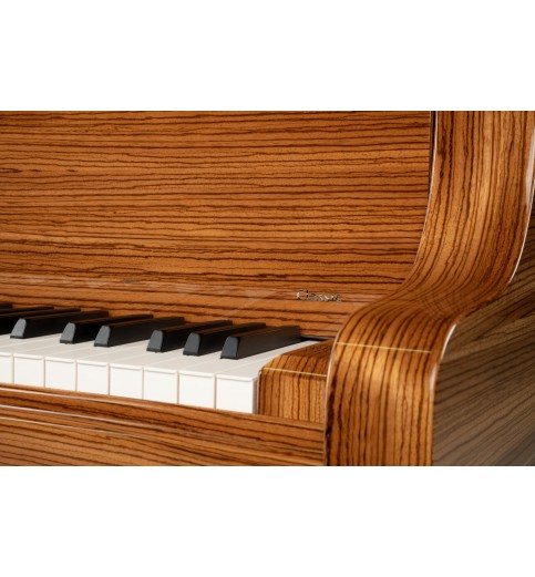 Schimmel Classic C169T Zebrano