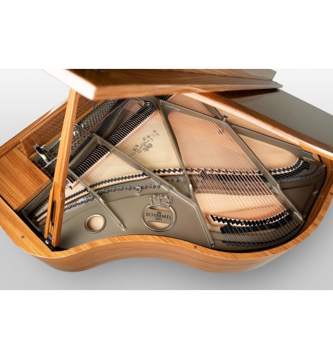 Schimmel Classic C169T Zebrano