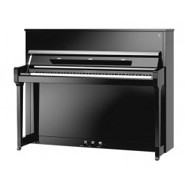 Schimmel Fridolin F121