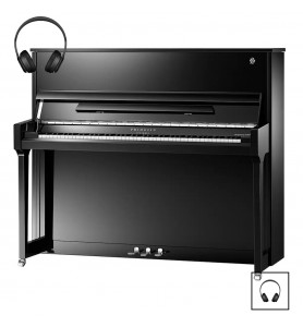 Photo Schimmel Fridolin F130 Twintone