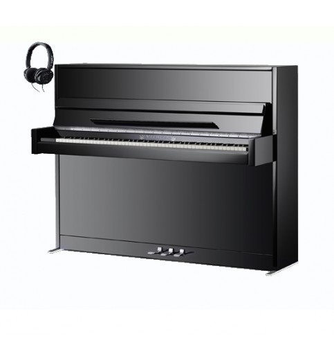 Schimmel Wilhelm W114 Modern TwinTone