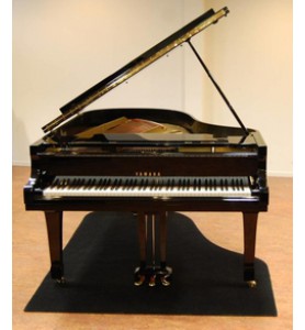 Photo Taffijn Tapis Isolant Thermique Grand Piano