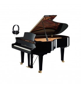 Photo Yamaha Premium S6x Silent