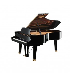 Photo Yamaha Premium S7x Enspire