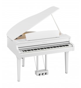 Photo Yamaha Agent CLP-895GP