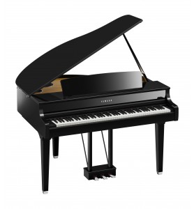 Photo Yamaha Agent CLP-895GP
