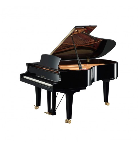 Yamaha Premium S6x Enspire