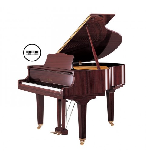 Yamaha C2x Disklavier Enspire